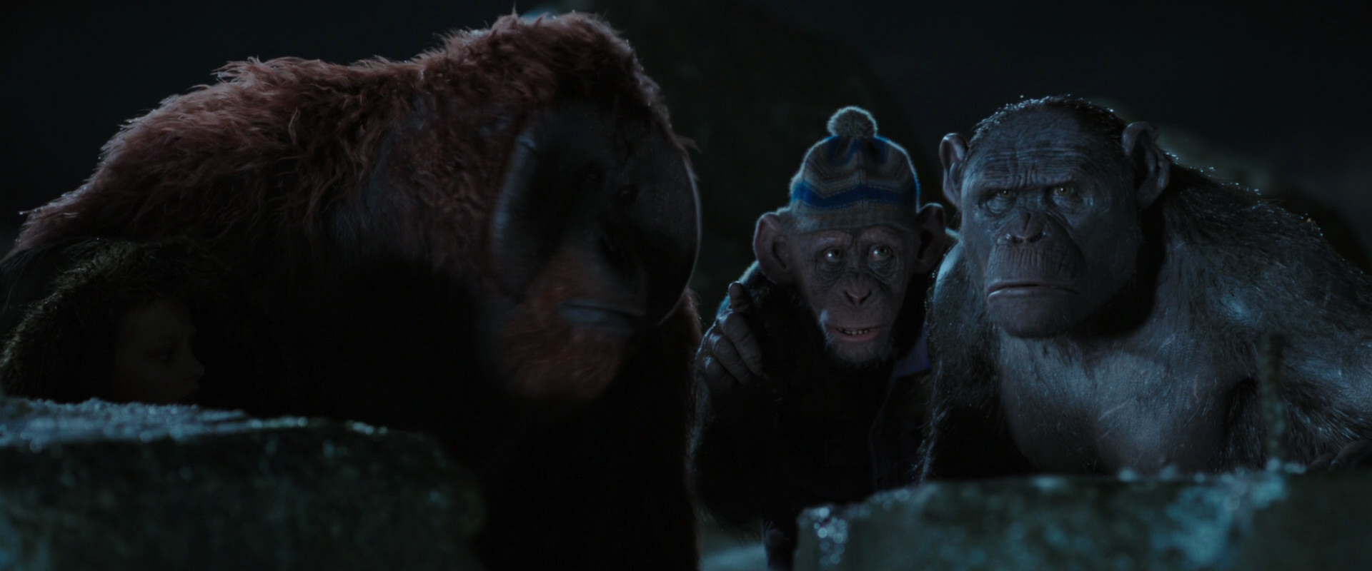 War for the Planet of the Apes (2017) screencap 10053