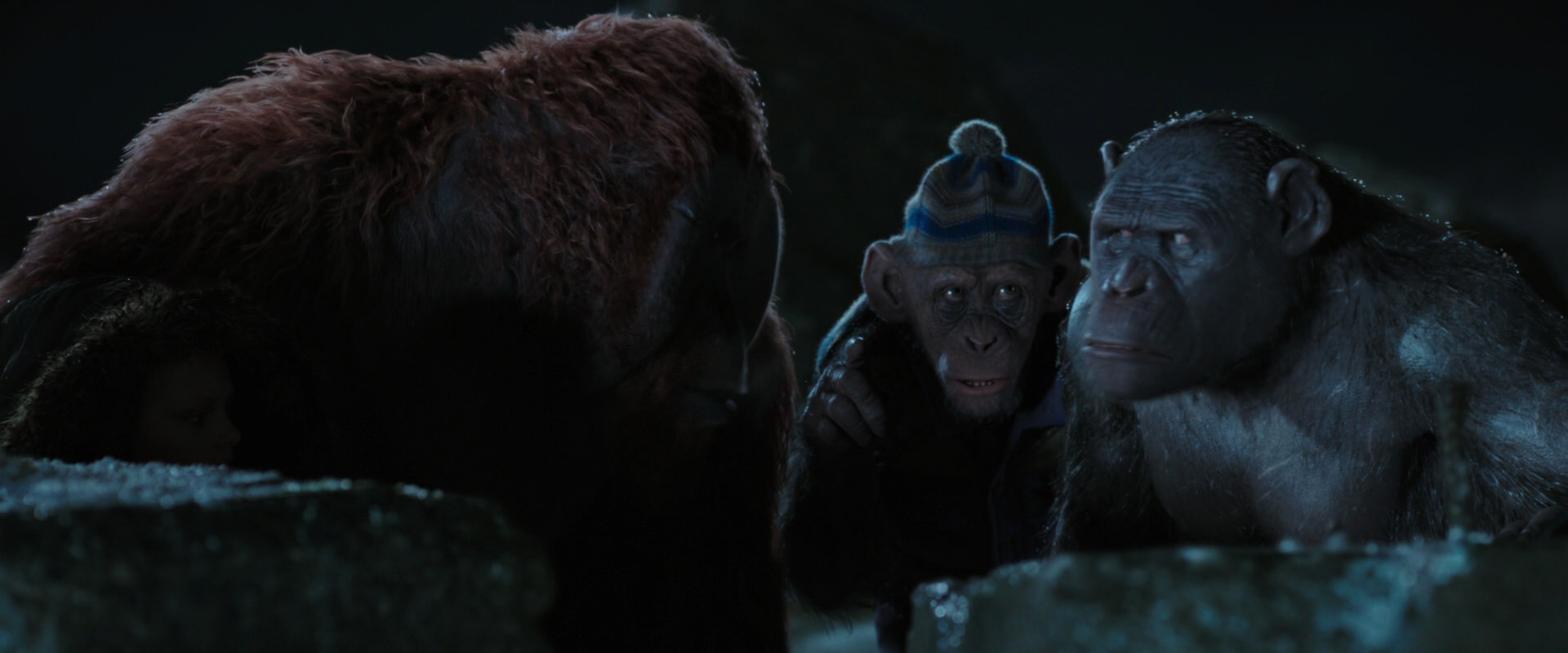 War for the Planet of the Apes (2017) movie still 10054
