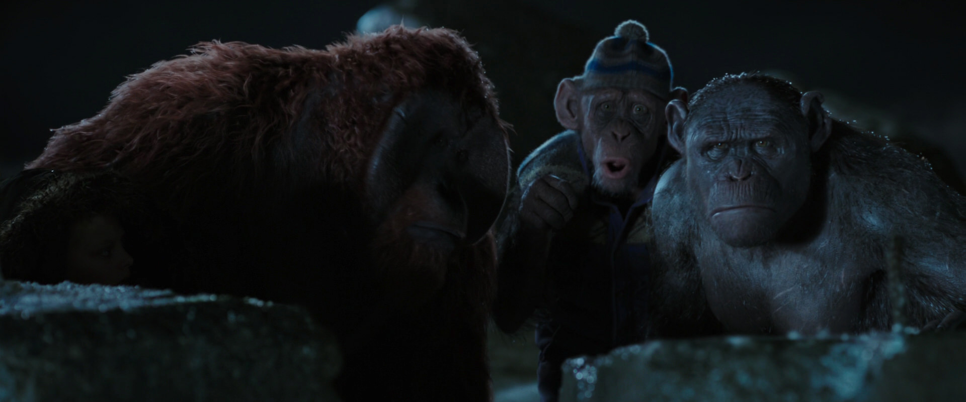 War for the Planet of the Apes (2017) screencap 10056