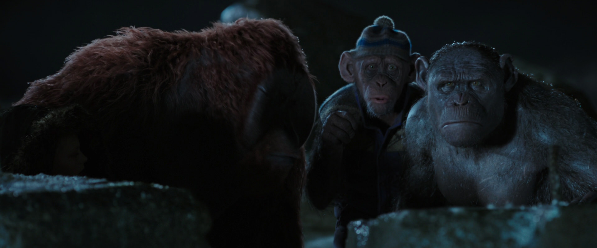 War for the Planet of the Apes (2017) movie still 10057