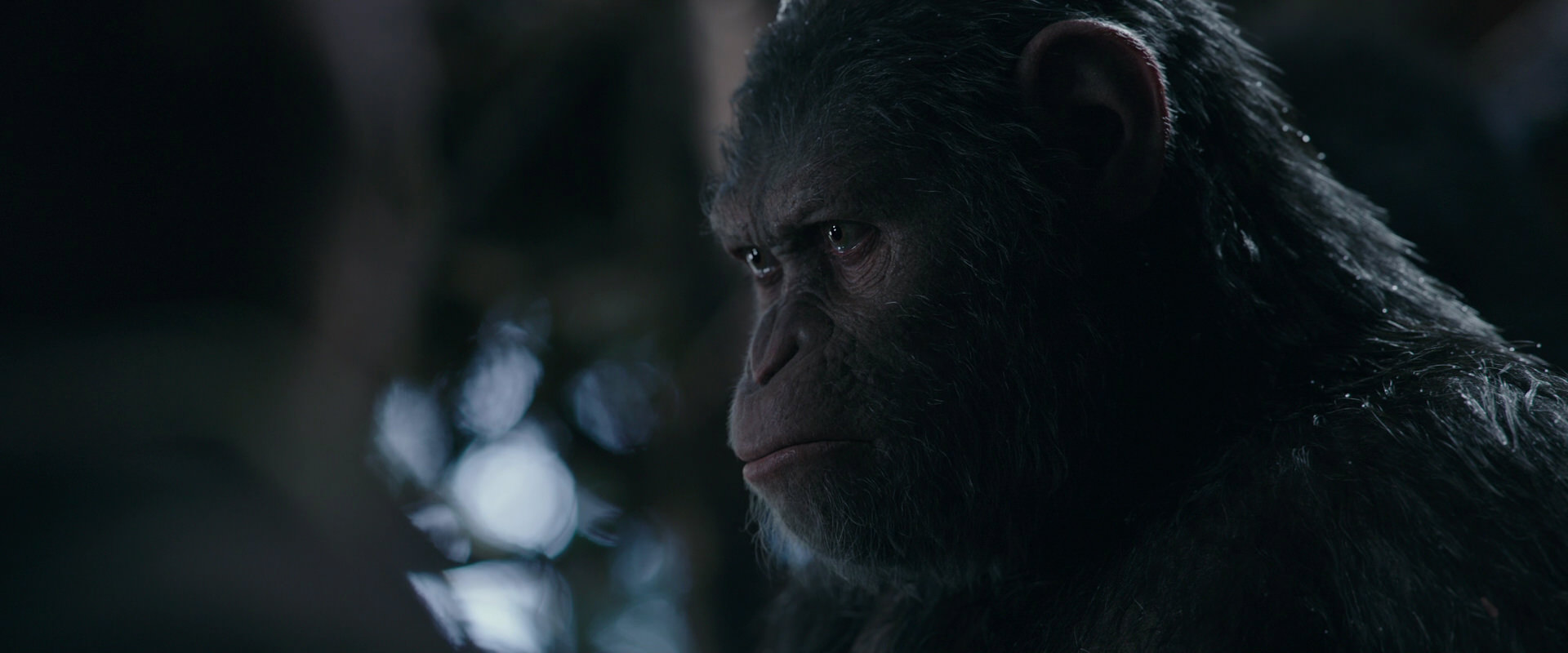 War for the Planet of the Apes (2017) movie still 1006