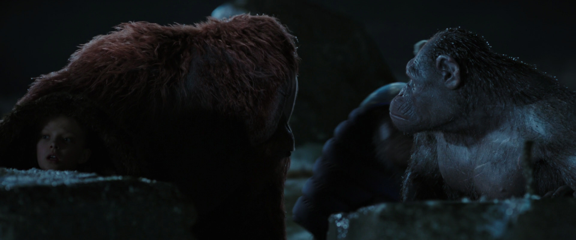 War for the Planet of the Apes (2017) HD screenshot 10064