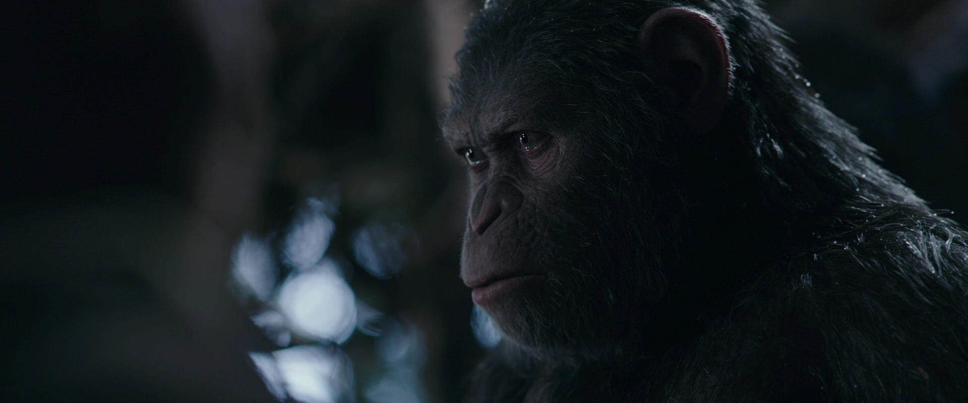 War for the Planet of the Apes (2017) HD screenshot 1007