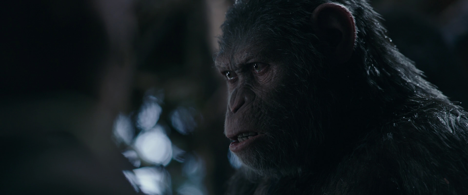War for the Planet of the Apes (2017) screencap 1008