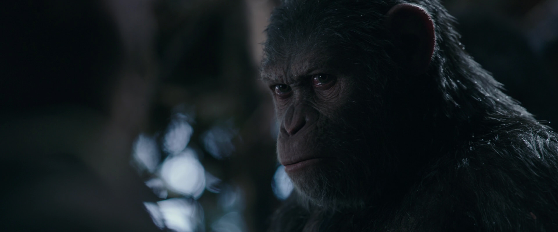 War for the Planet of the Apes (2017) movie still 1009