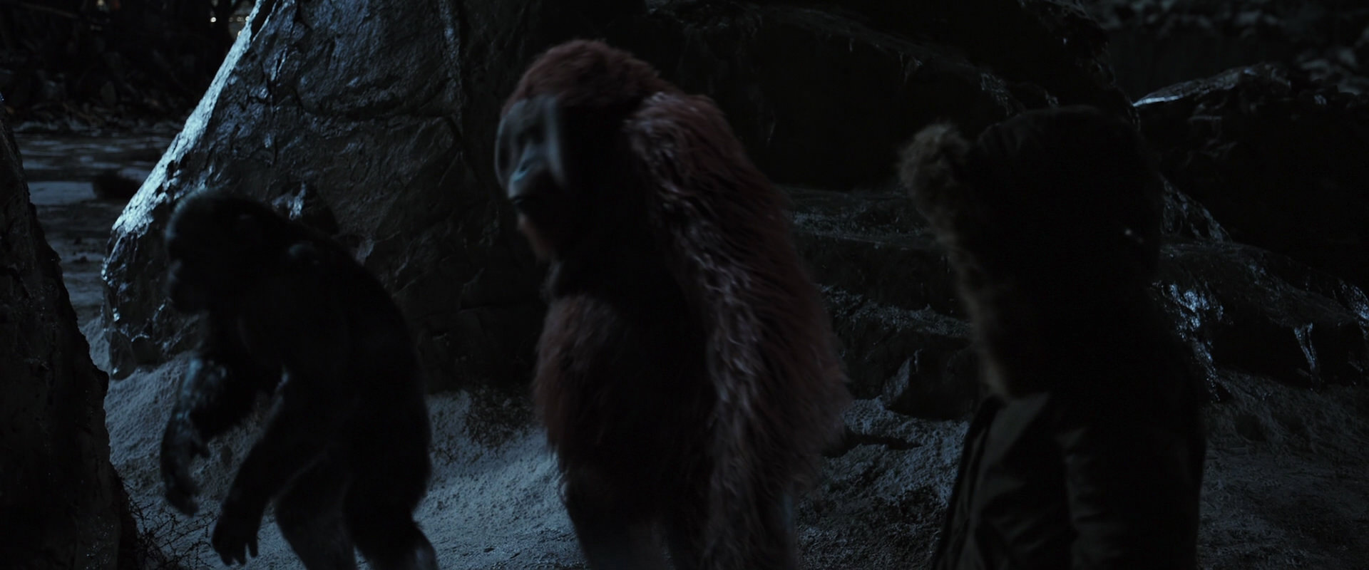 War for the Planet of the Apes (2017) movie still 10090