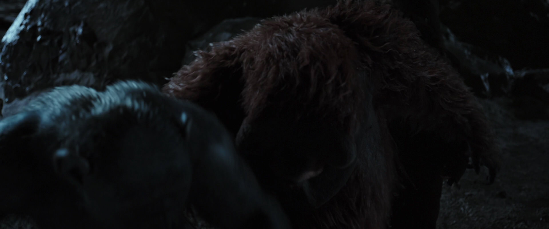 War for the Planet of the Apes (2017) screencap 10095