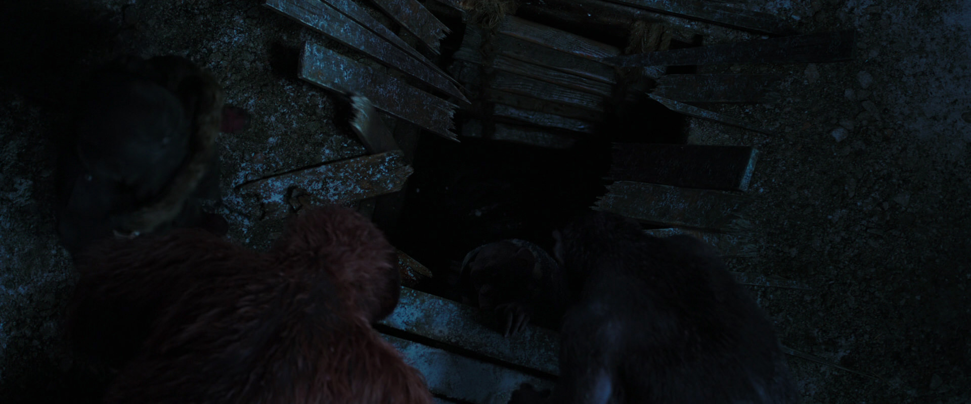 War for the Planet of the Apes (2017) movie still 10096