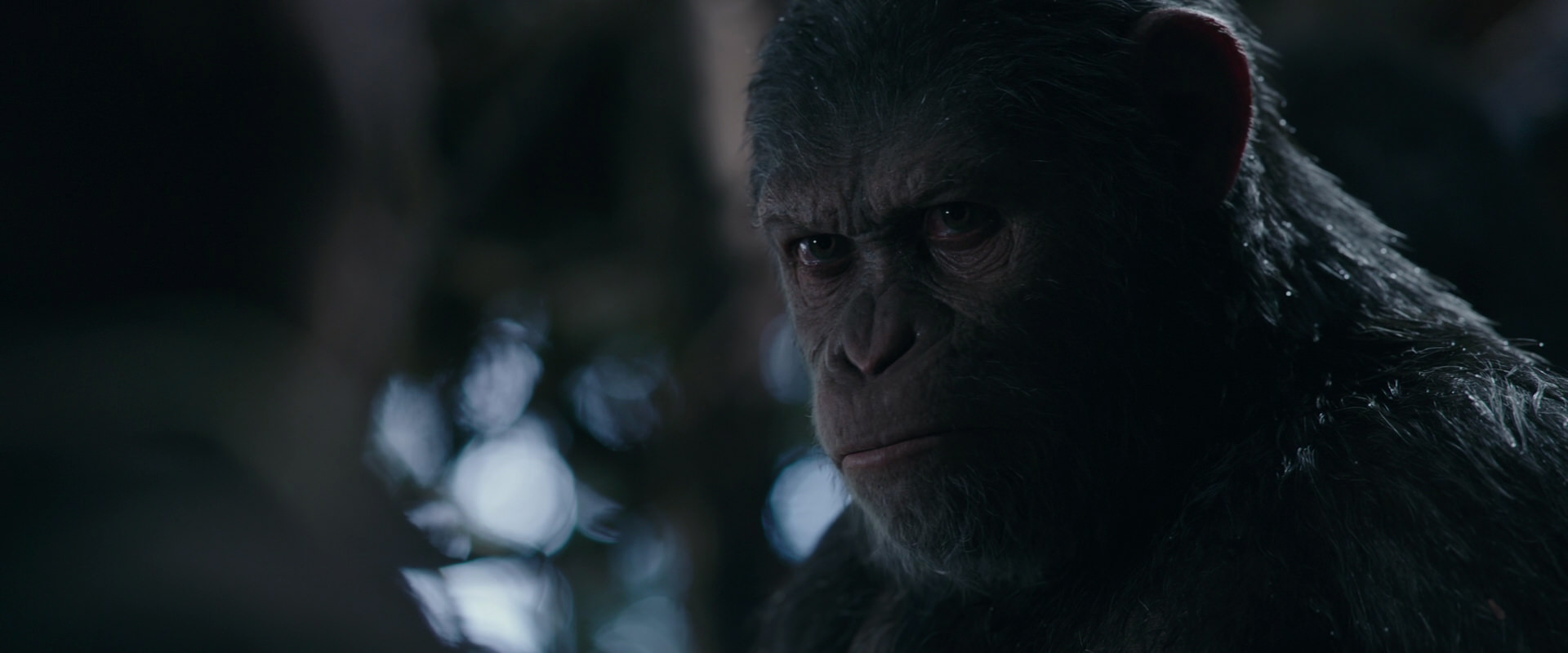 War for the Planet of the Apes (2017) HD screenshot 1010