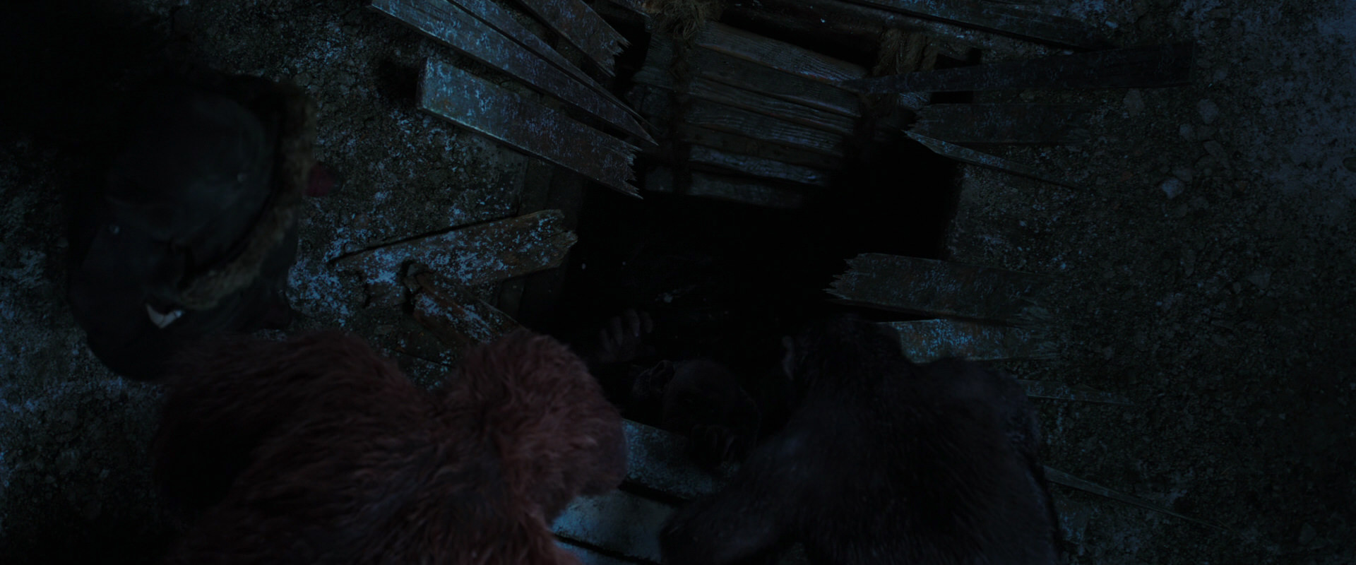 War for the Planet of the Apes (2017) screencap 10101