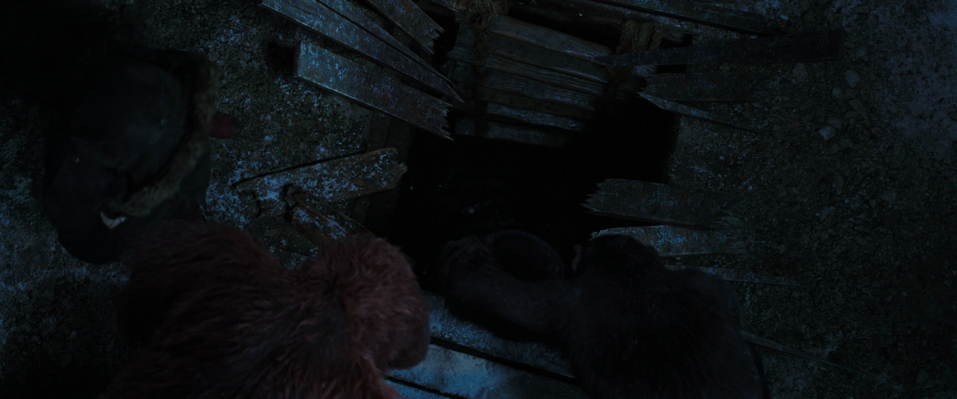 War for the Planet of the Apes (2017) screencap 10104
