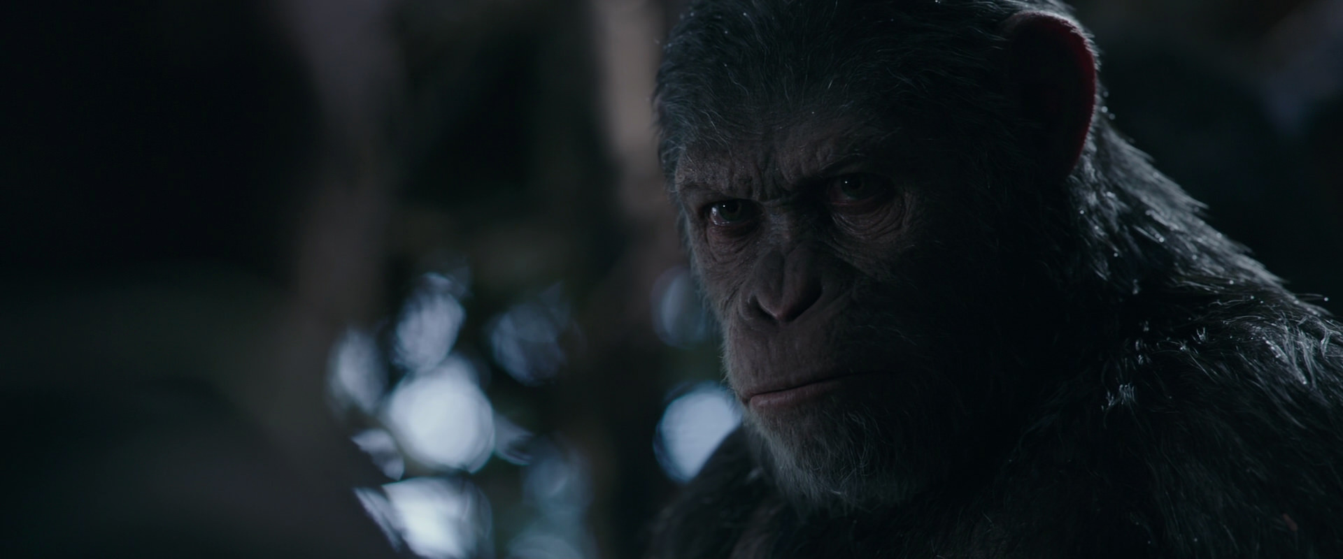 War for the Planet of the Apes (2017) screencap 1011