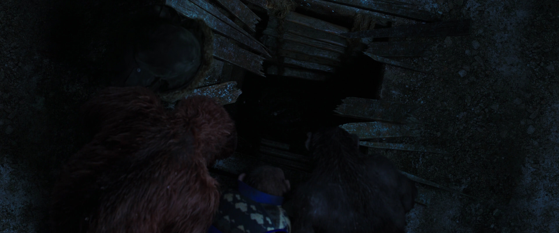 War for the Planet of the Apes (2017) screencap 10119