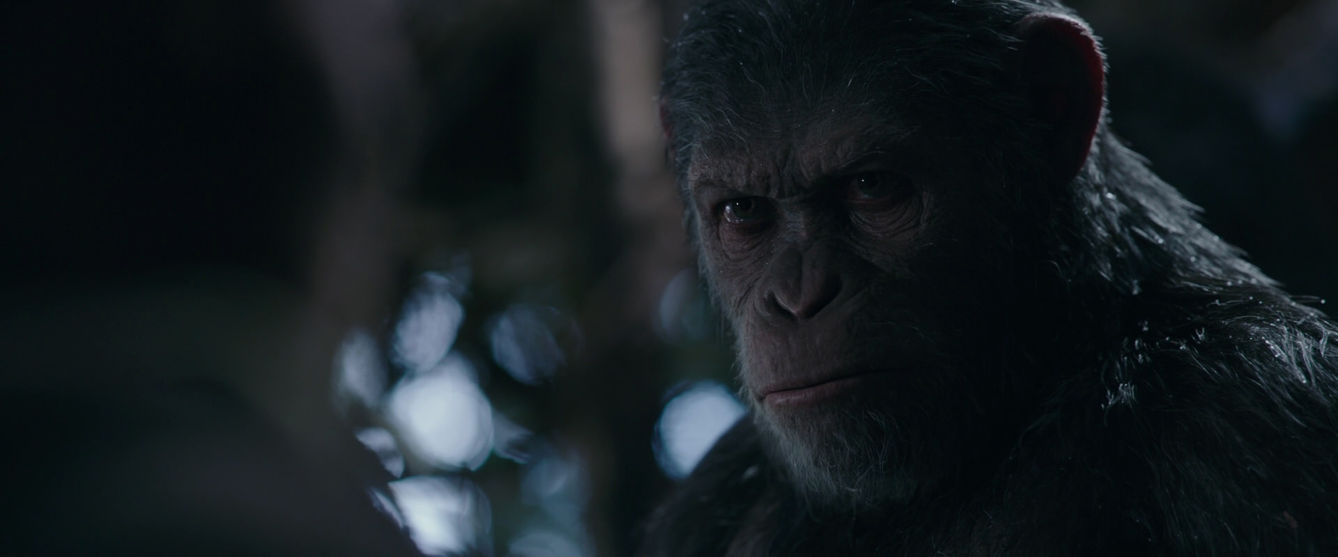War for the Planet of the Apes (2017) movie still 1012