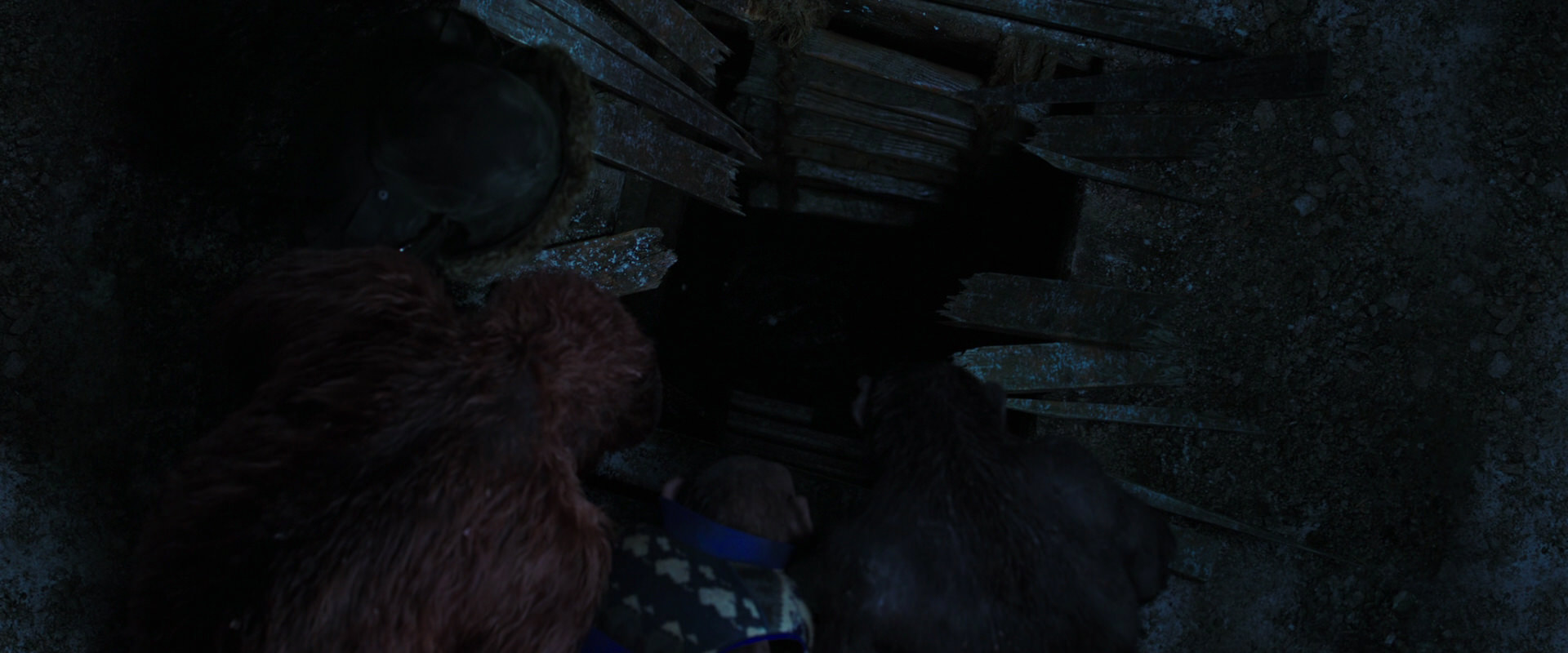 War for the Planet of the Apes (2017) movie still 10120