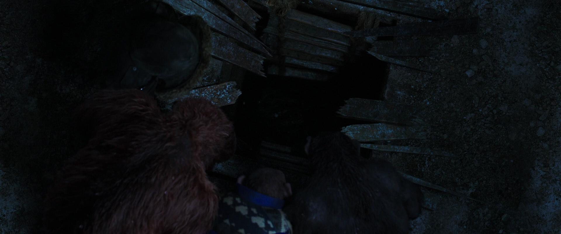 War for the Planet of the Apes (2017) HD screenshot 10121