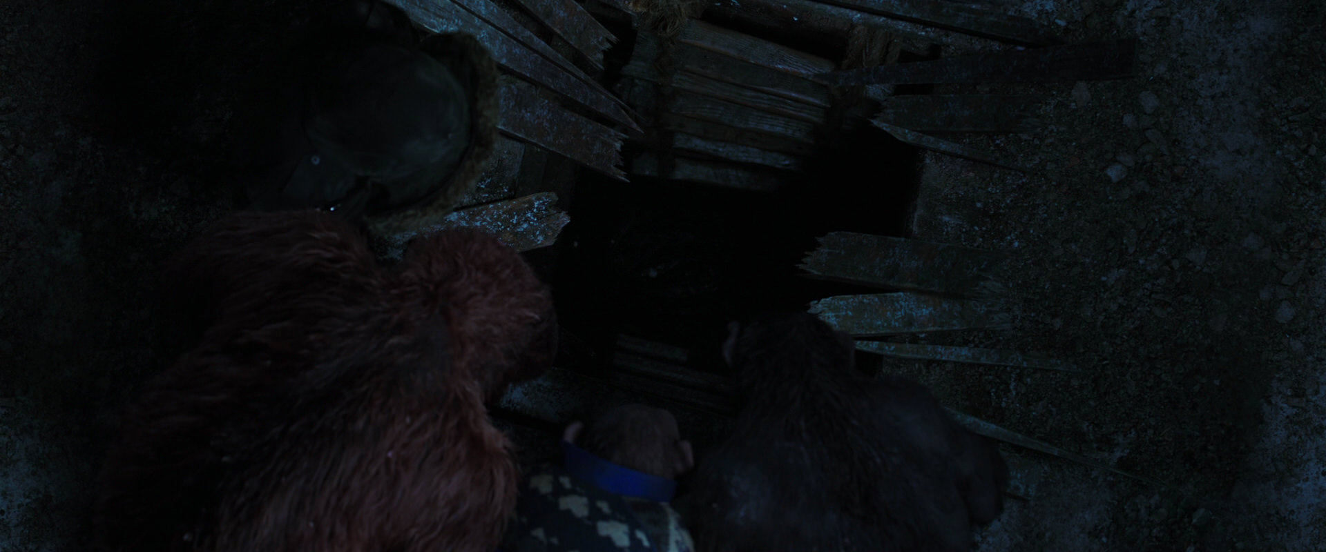 War for the Planet of the Apes (2017) screencap 10122