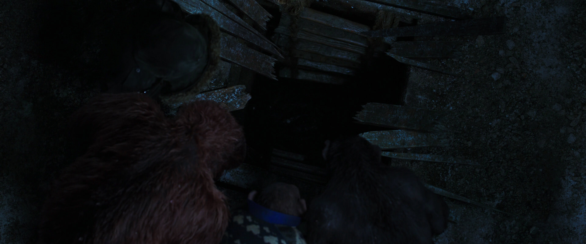 War for the Planet of the Apes (2017) movie still 10123