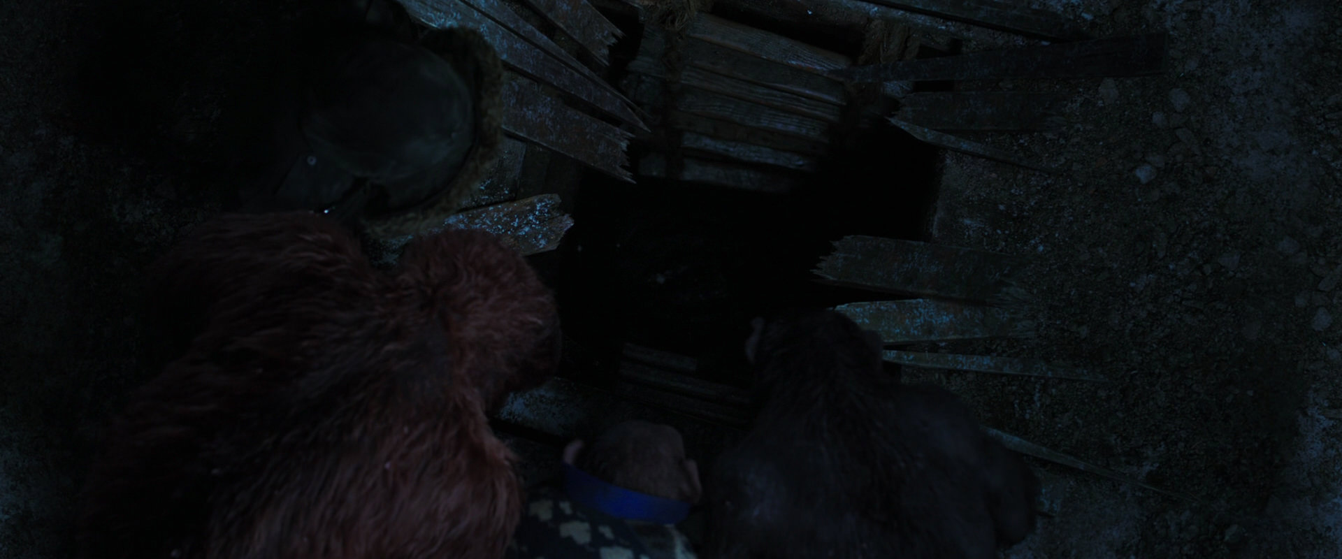 War for the Planet of the Apes (2017) HD screenshot 10124