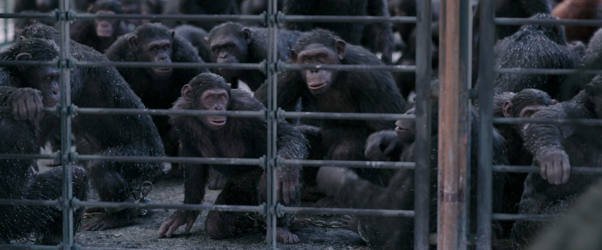 War for the Planet of the Apes (2017) screencap 10128