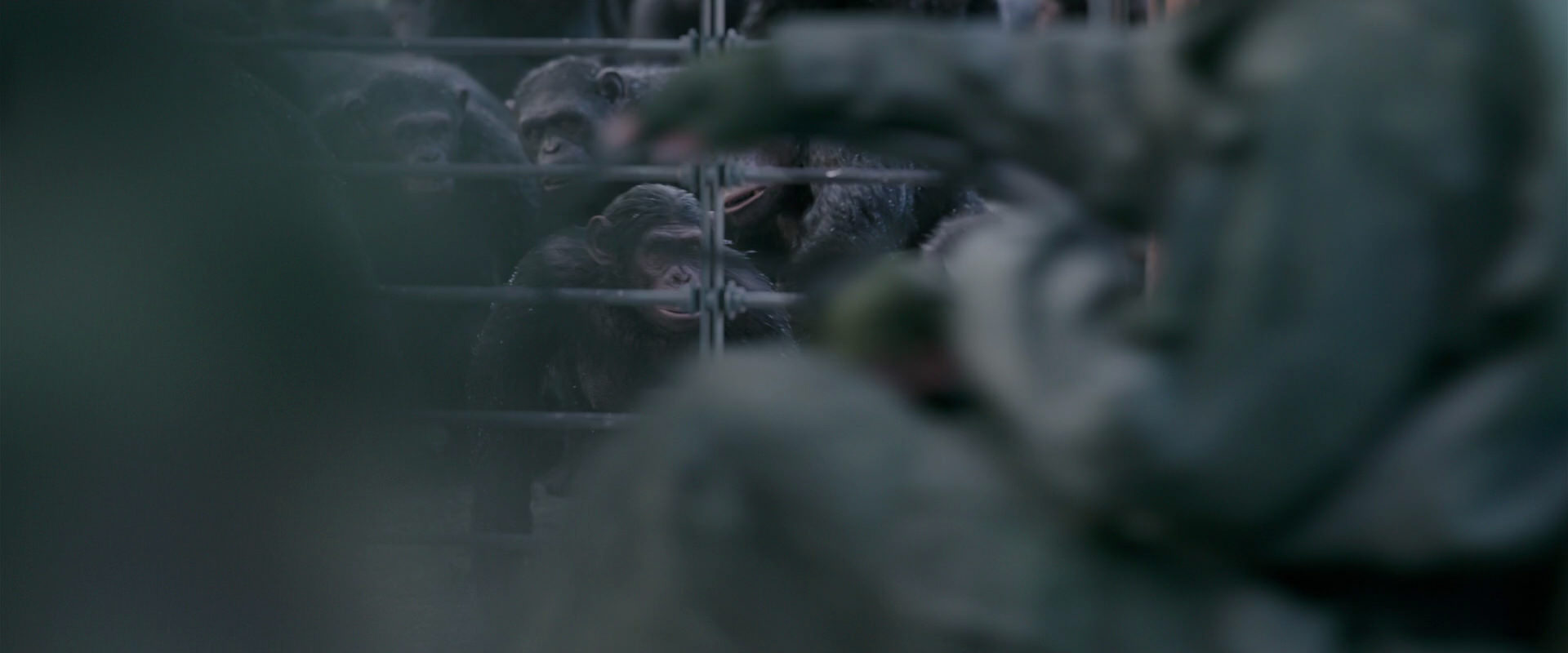 War for the Planet of the Apes (2017) movie still 10129