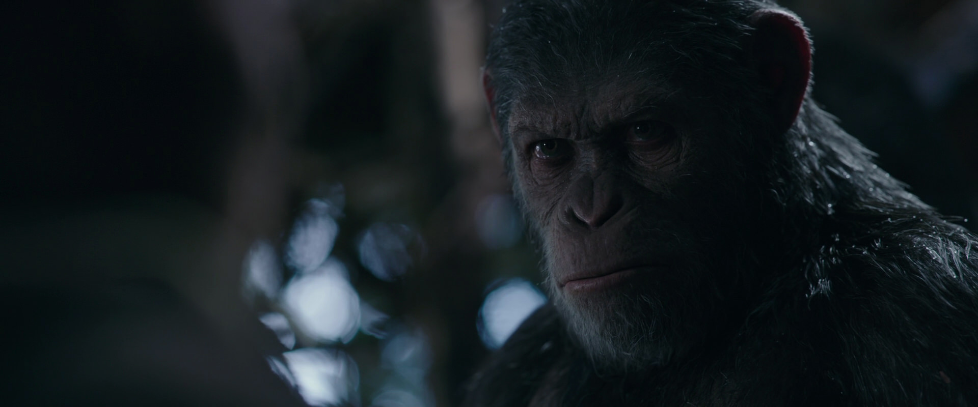 War for the Planet of the Apes (2017) HD screenshot 1013