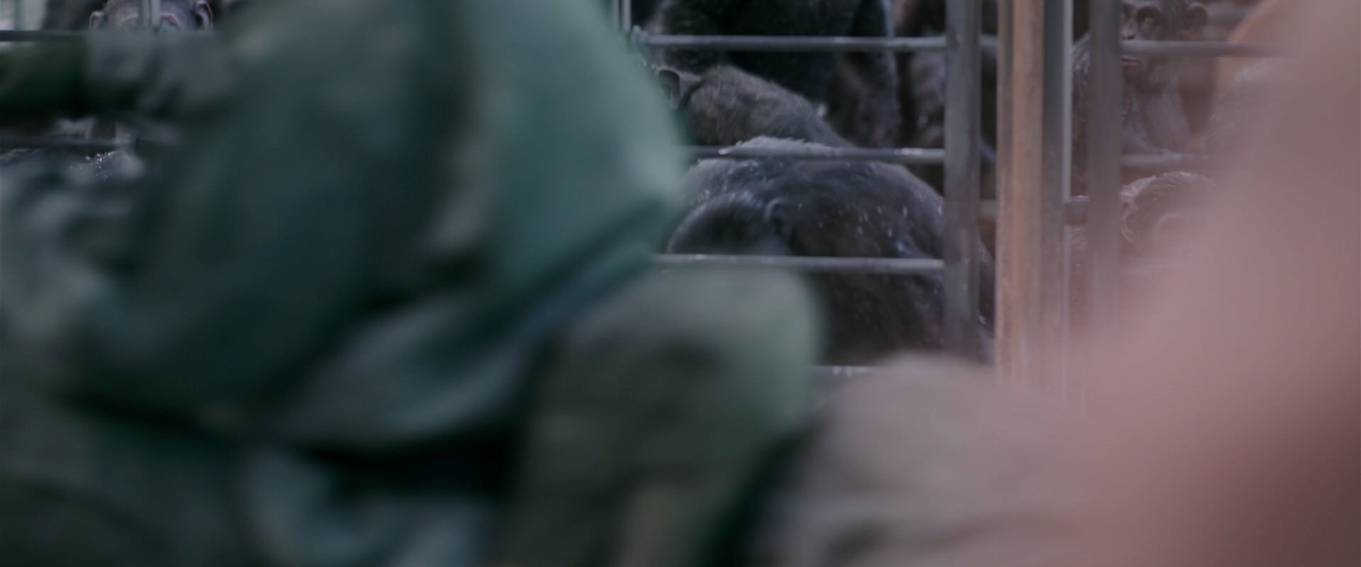 War for the Planet of the Apes (2017) HD screenshot 10130