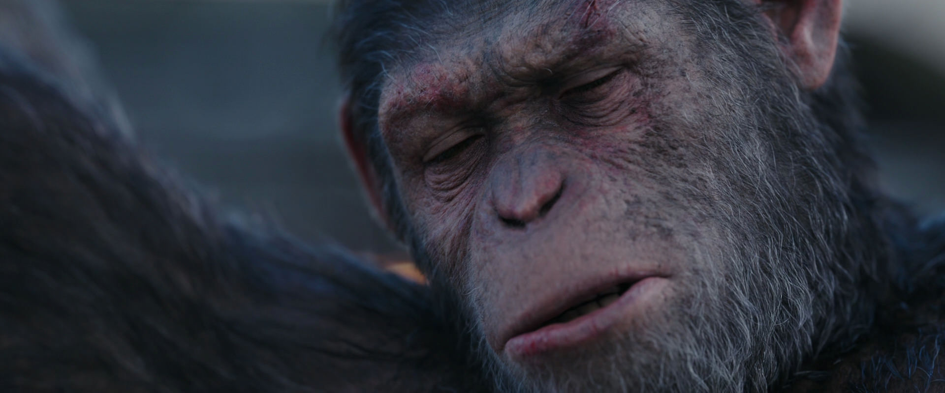 War for the Planet of the Apes (2017) HD screenshot 10139