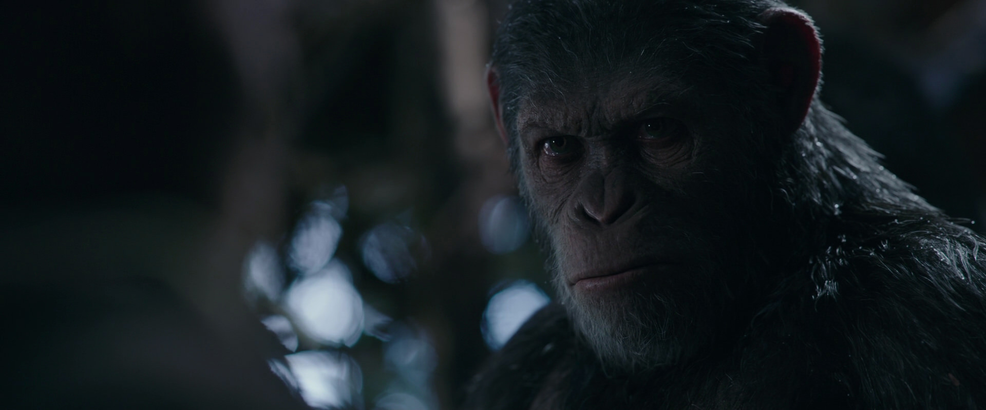 War for the Planet of the Apes (2017) screencap 1014