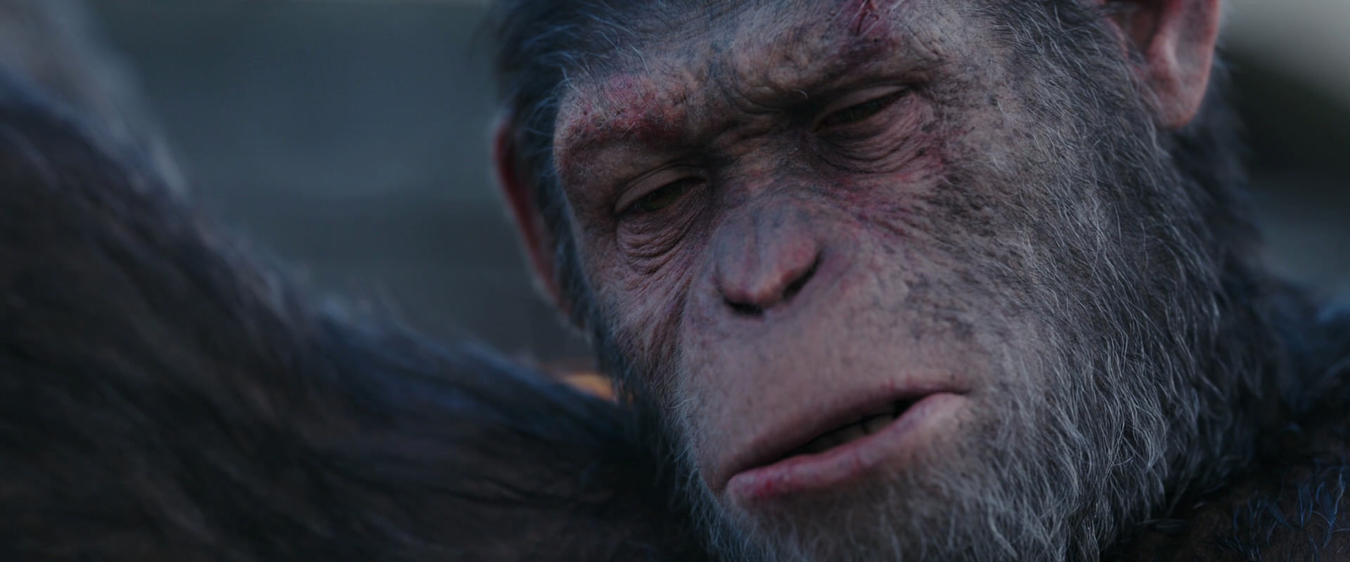 War for the Planet of the Apes (2017) screencap 10140