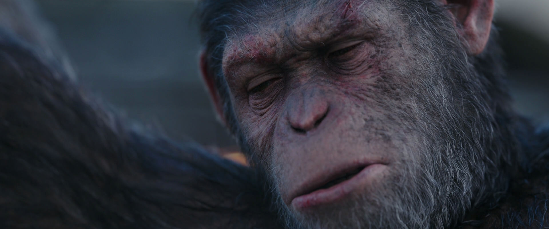 War for the Planet of the Apes (2017) movie still 10141