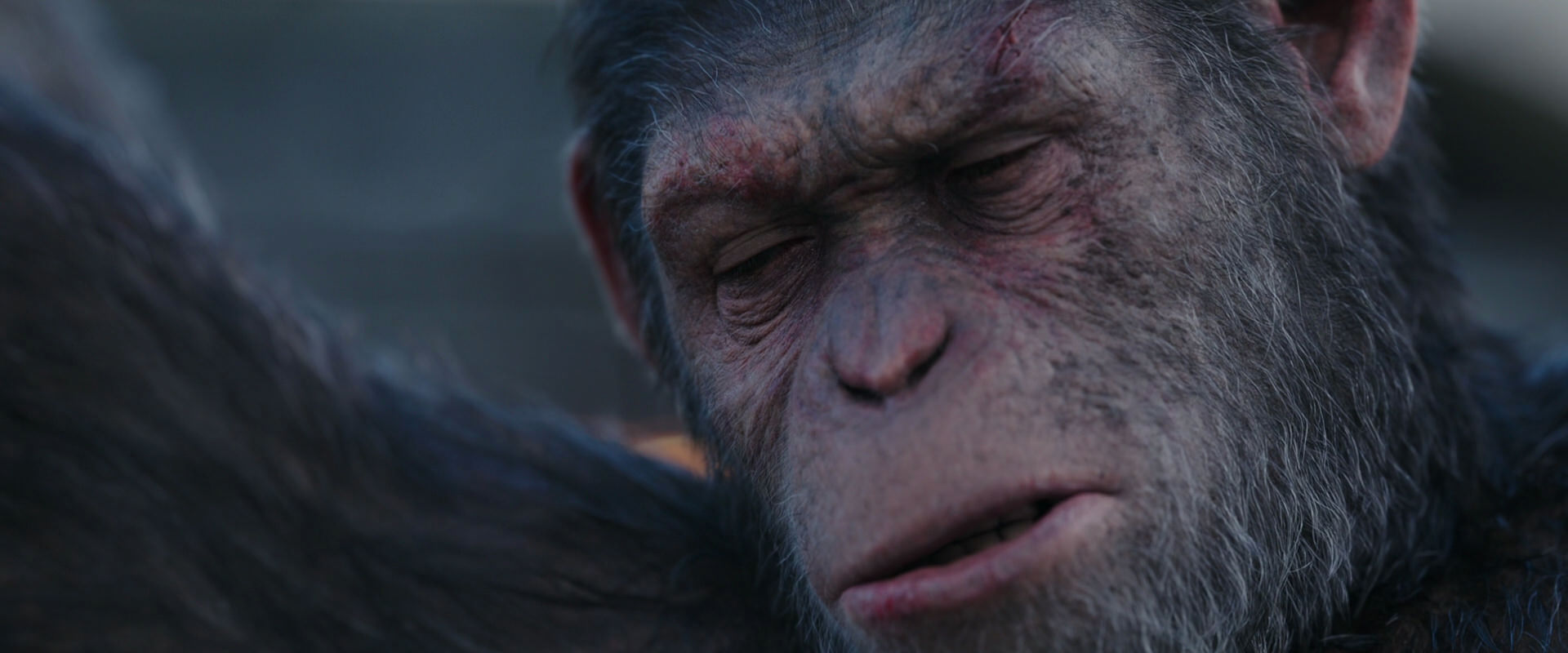 War for the Planet of the Apes (2017) HD screenshot 10142