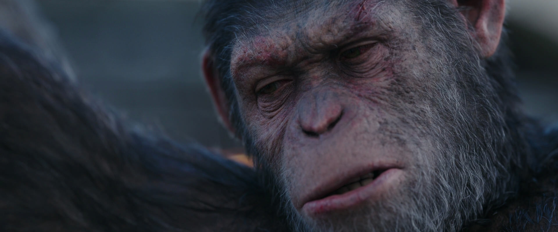 War for the Planet of the Apes (2017) screencap 10143