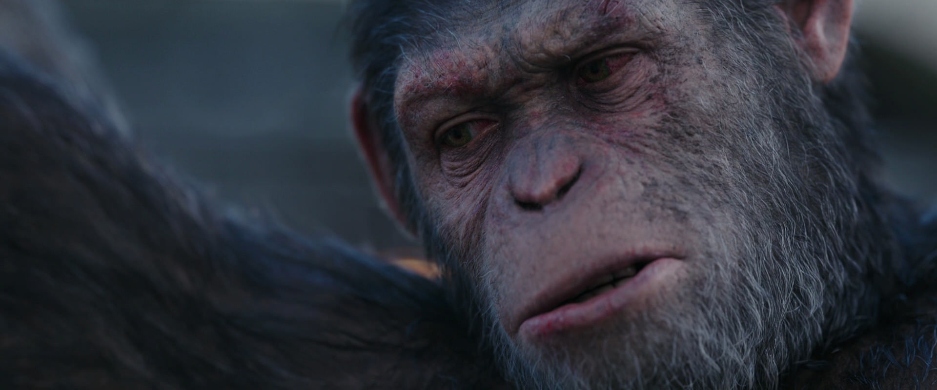 War for the Planet of the Apes (2017) movie still 10144