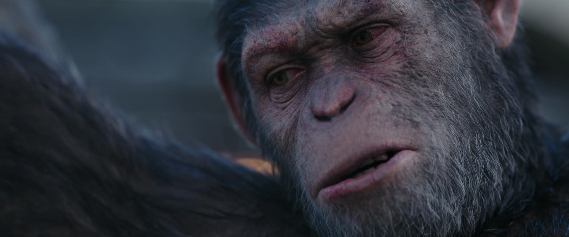 War for the Planet of the Apes (2017) HD screenshot 10145