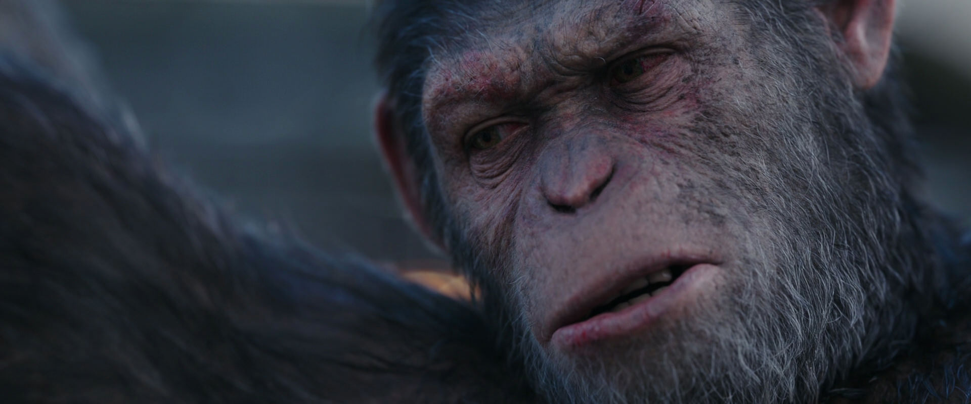 War for the Planet of the Apes (2017) screencap 10146