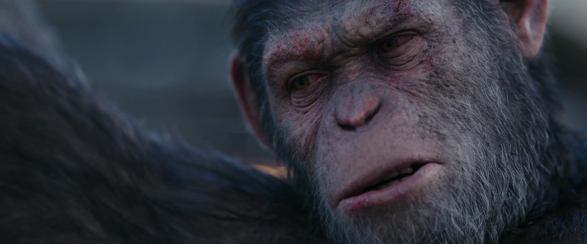 War for the Planet of the Apes (2017) movie still 10147