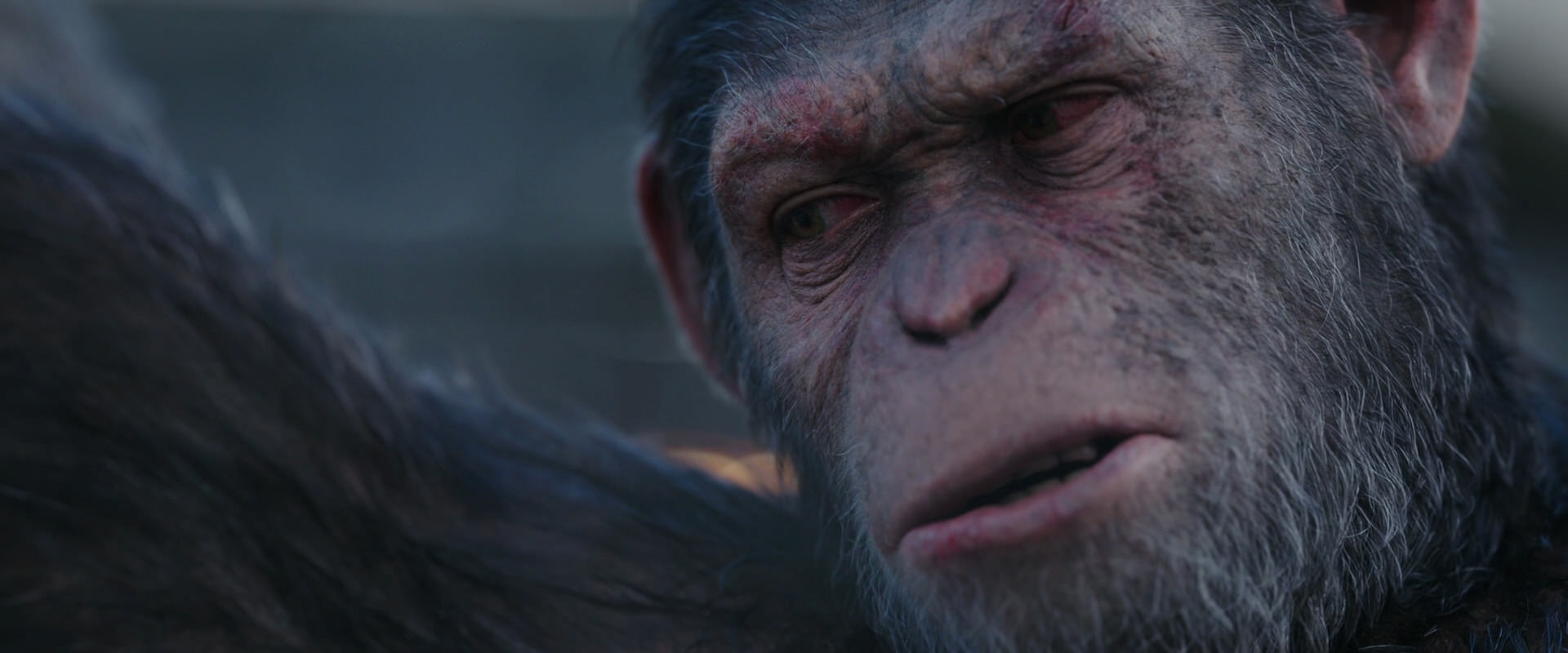 War for the Planet of the Apes (2017) HD screenshot 10148
