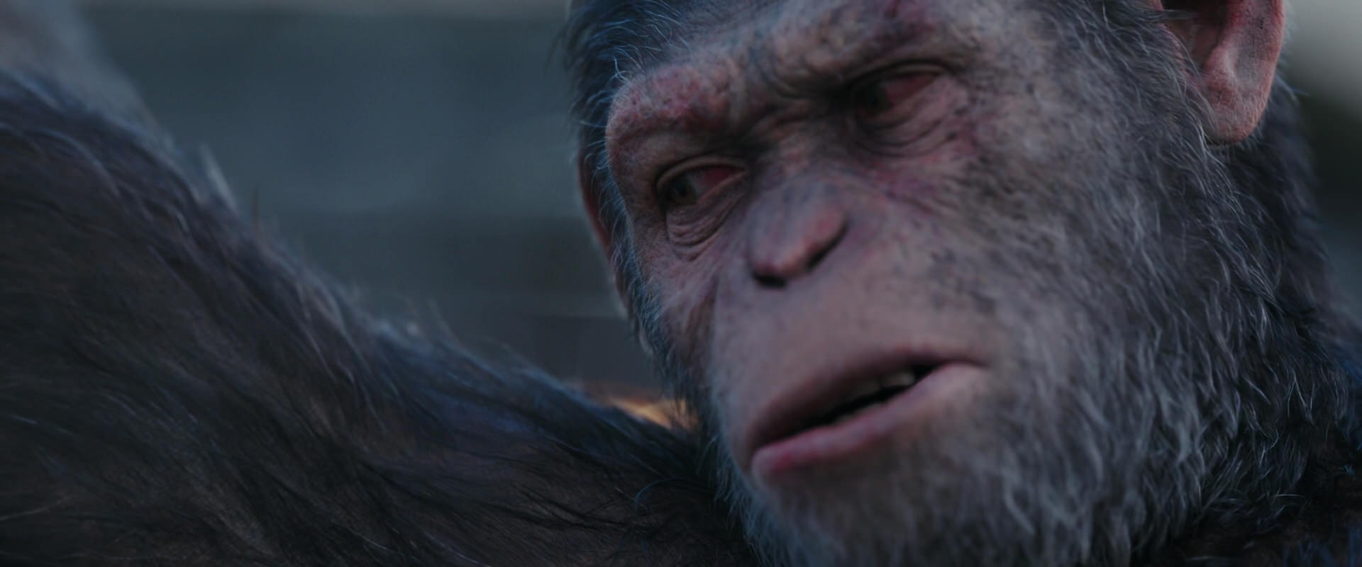 War for the Planet of the Apes (2017) screencap 10149