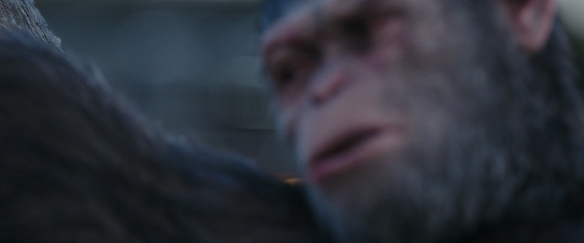 War for the Planet of the Apes (2017) movie still 10150
