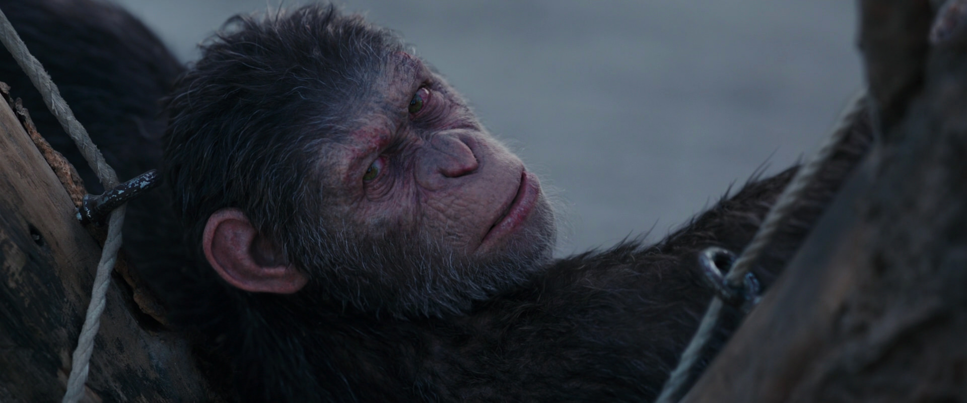 War for the Planet of the Apes (2017) HD screenshot 10157