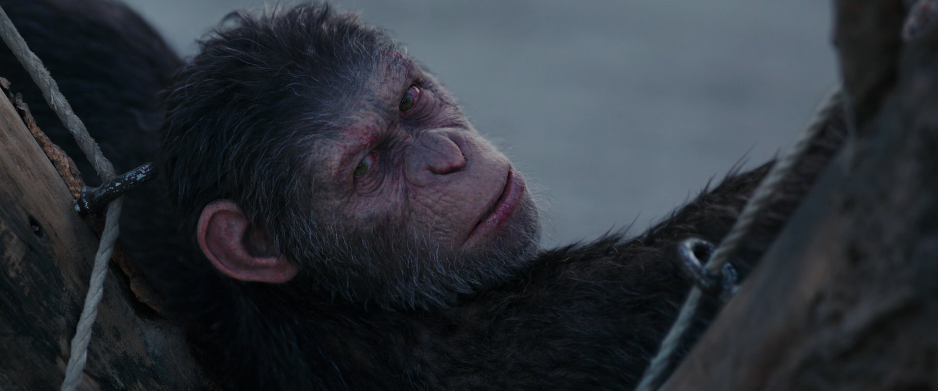 War for the Planet of the Apes (2017) screencap 10158