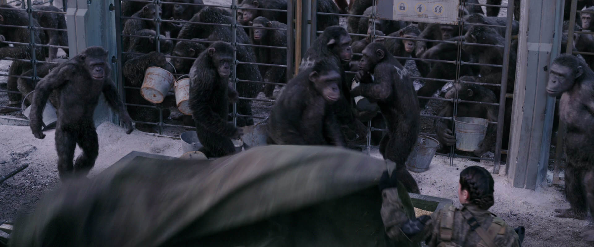 War for the Planet of the Apes (2017) screencap 10167
