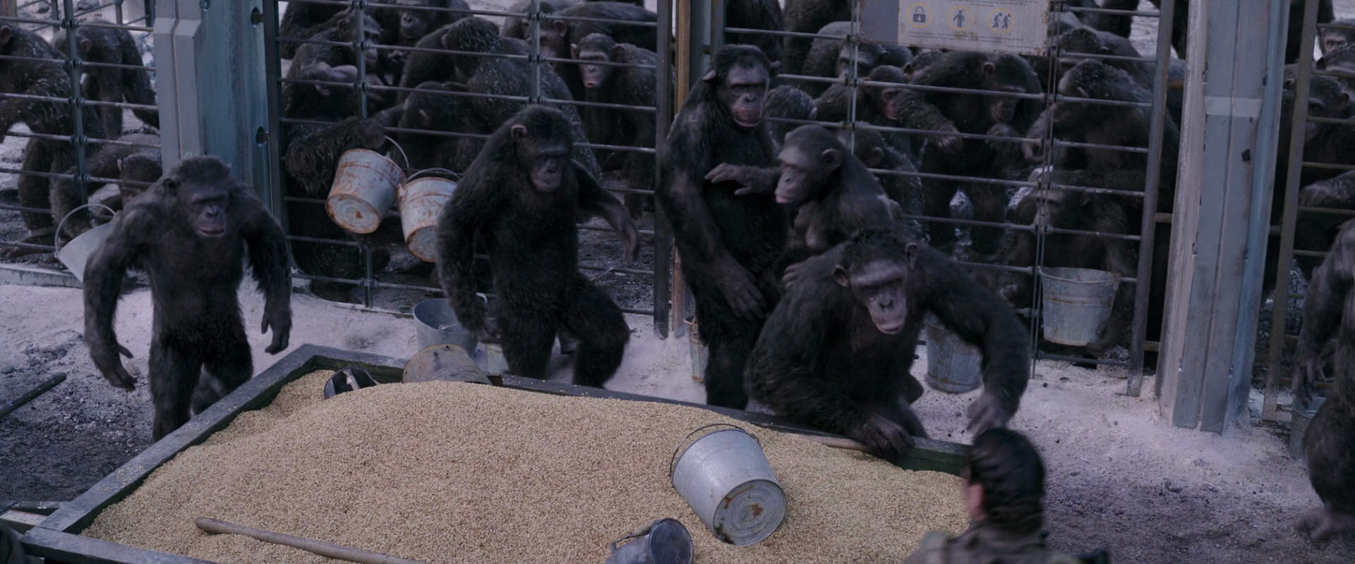 War for the Planet of the Apes (2017) movie still 10168
