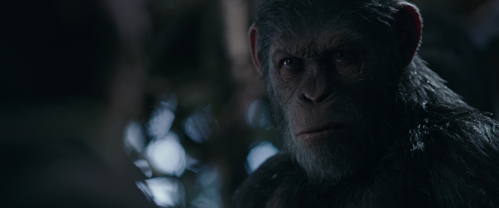War for the Planet of the Apes (2017) screencap 1017