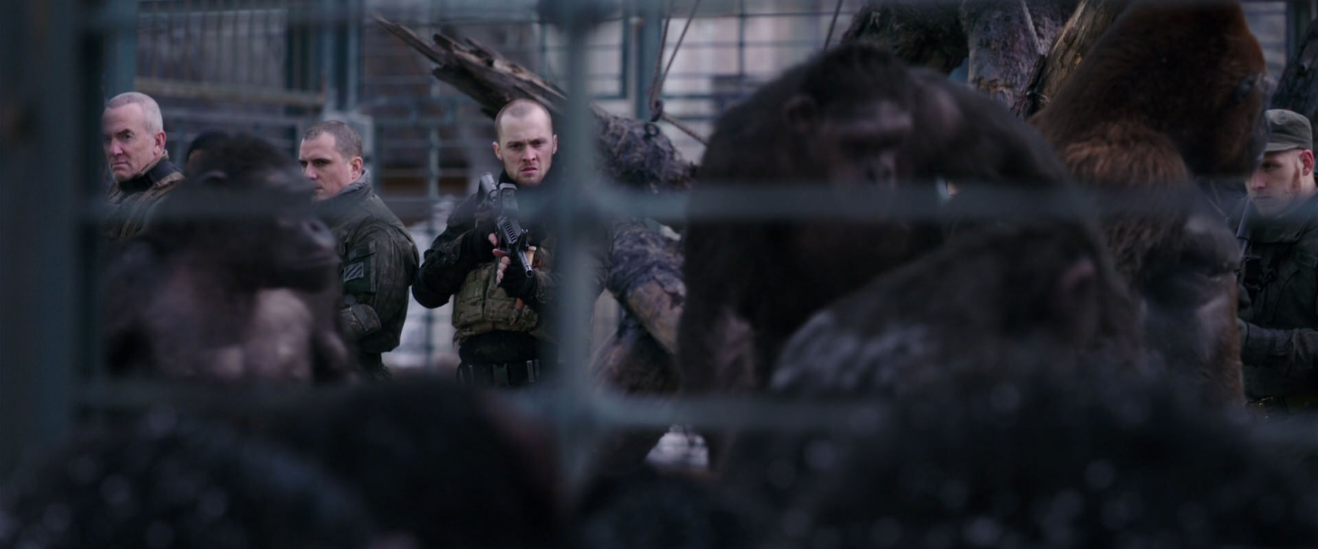 War for the Planet of the Apes (2017) screencap 10173