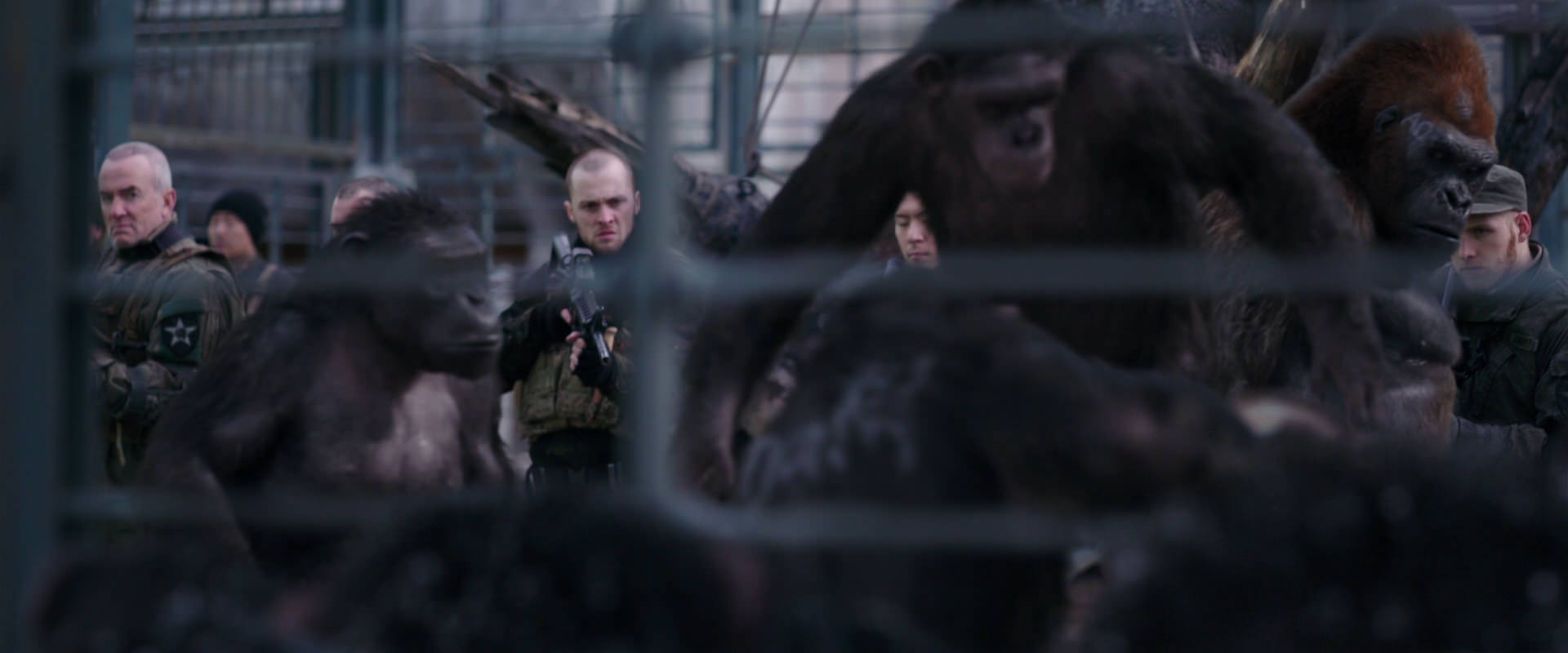 War for the Planet of the Apes (2017) movie still 10174