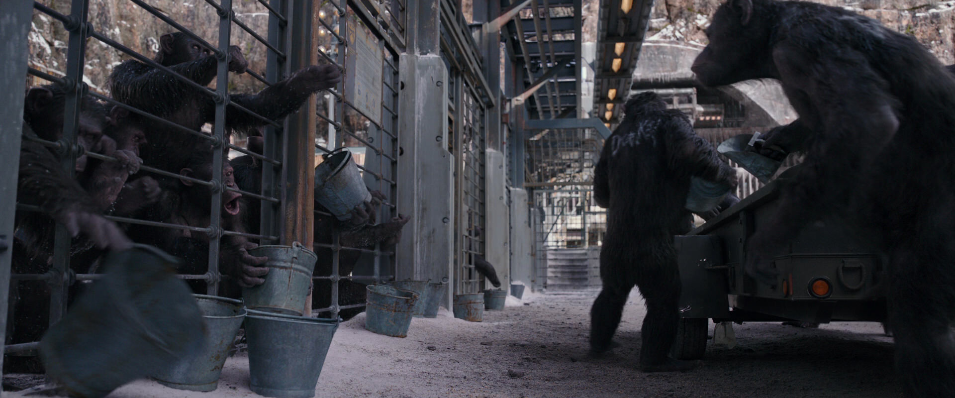 War for the Planet of the Apes (2017) HD screenshot 10175