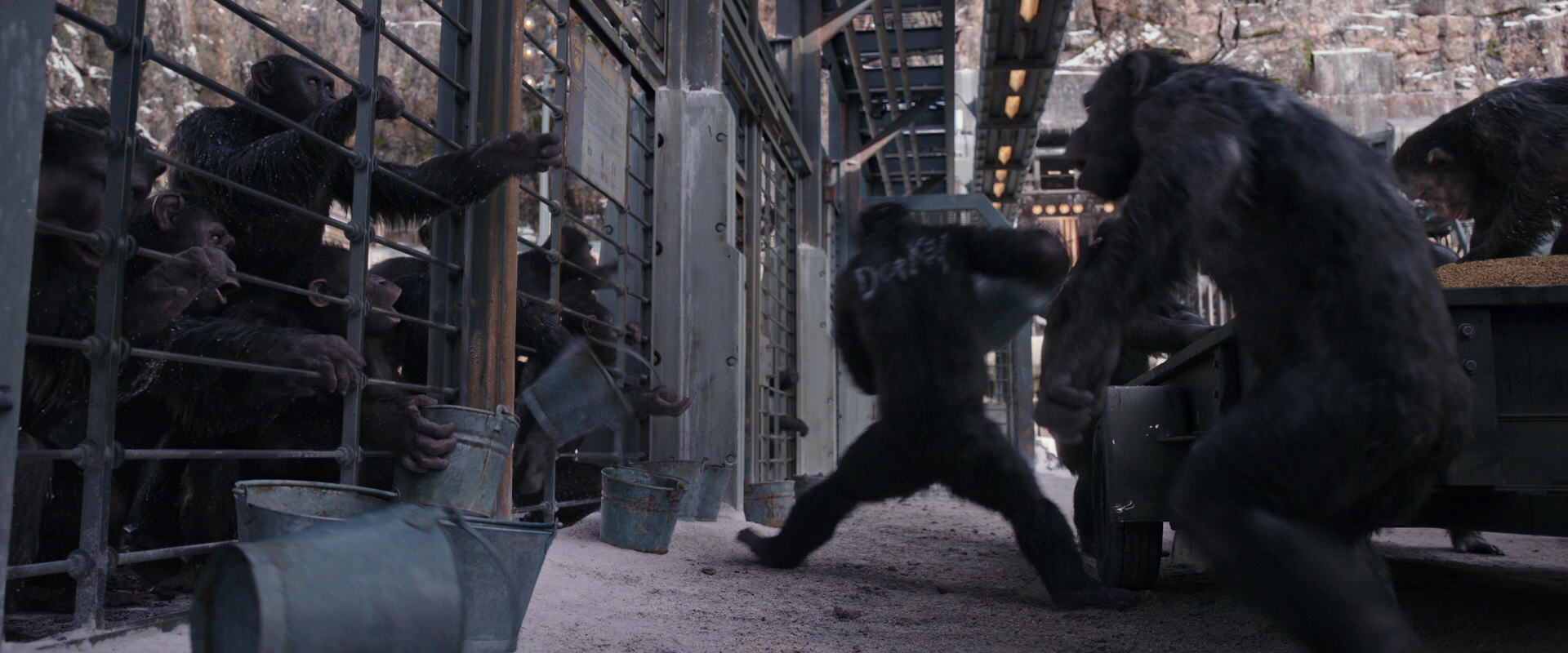 War for the Planet of the Apes (2017) screencap 10176