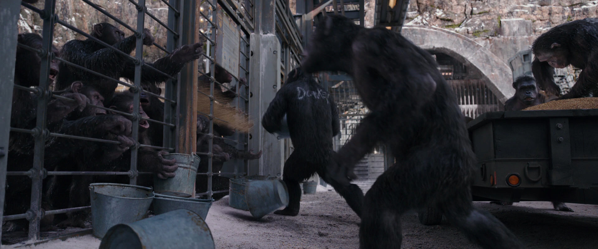 War for the Planet of the Apes (2017) movie still 10177